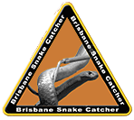 Brisbane Snake Catcher